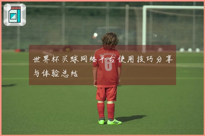 世界杯买球网络平台使用技巧分享与体验总结