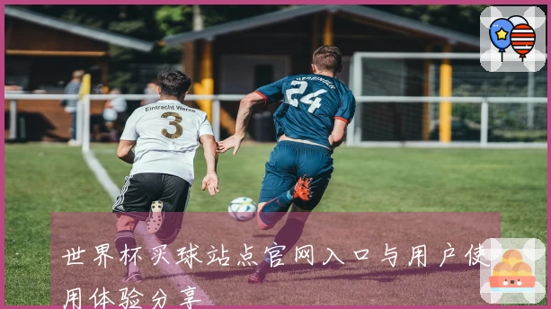 世界杯买球站点官网入口与用户使用体验分享