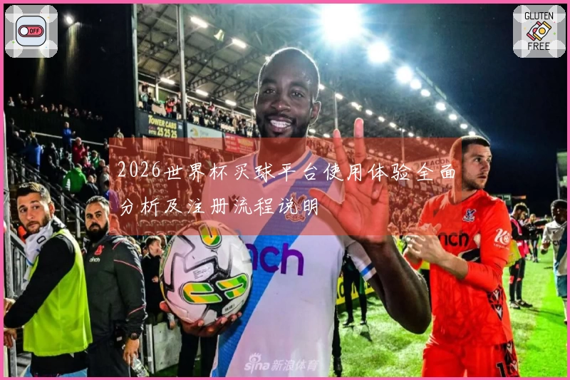2026世界杯买球平台使用体验全面分析及注册流程说明