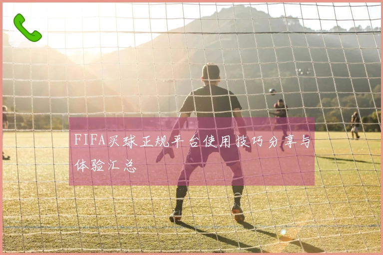 FIFA买球正规平台使用技巧分享与体验汇总