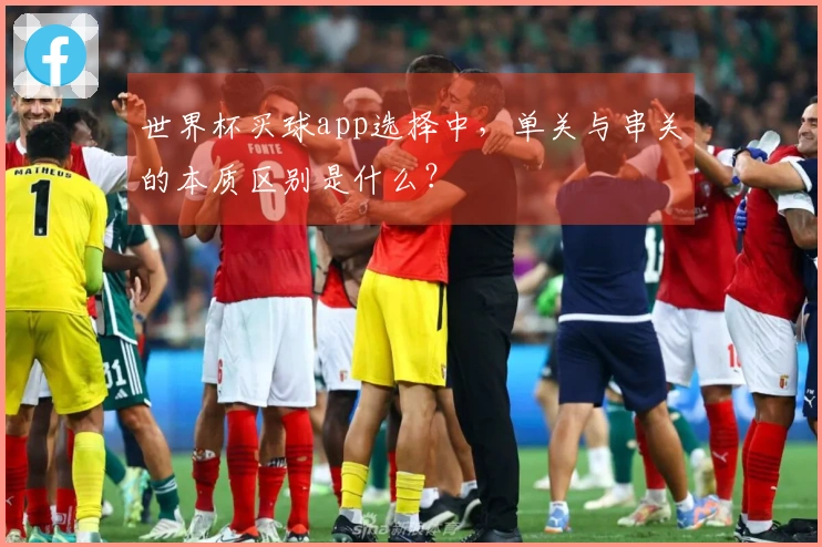 世界杯买球app选择中，单关与串关的本质区别是什么？