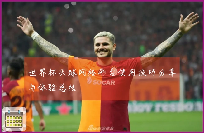 世界杯买球网络平台使用技巧分享与体验总结