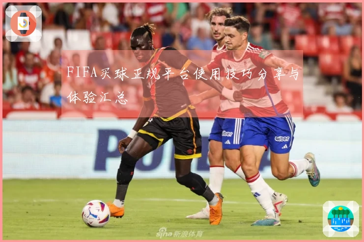 FIFA买球正规平台使用技巧分享与体验汇总