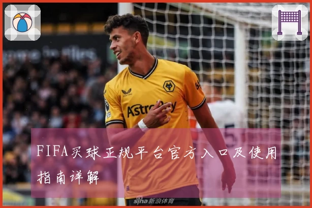 FIFA买球正规平台官方入口及使用指南详解