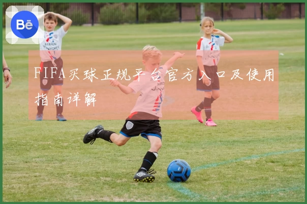 FIFA买球正规平台官方入口及使用指南详解